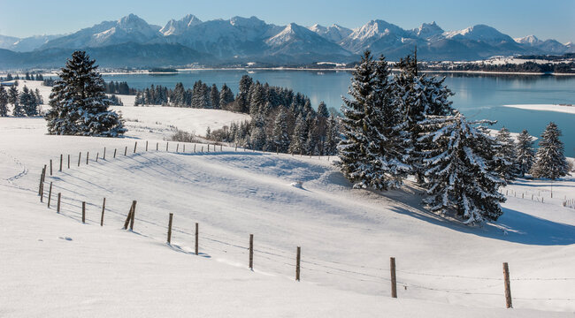 Panorama Winter-Landschaft im Allg&auml;u bei F&uuml;ssen mit Forggensee
