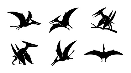 Pterodactyl Silhouettes, Flying Ancient Reptiles, Prehistoric Creatures Vector Set © Mainul