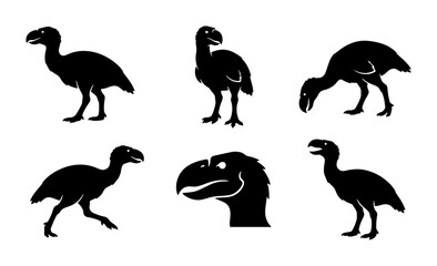 Dodo Bird Silhouettes, Extinct Avian Species Vector Icons, Retro Wildlife Graphics © Mainul