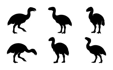 Dodo Bird Silhouettes, Extinct Animal Poses, Vintage Wildlife Vector Set © Mainul