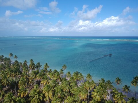 Foto de drone em Maragogi, Alagoas, mostra praia extensa, &aacute;guas azul turquesa e natureza tropical em vista panor&acirc;mica