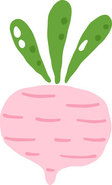 cute beetroot vegetable food vector cartoon illustration