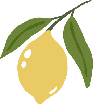 cute yellow lemon juicy vitamin fruit vector cartoon illustration