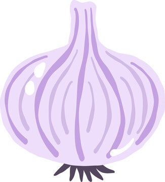 purple onion shallots vegetable food cartoon vector illustration
