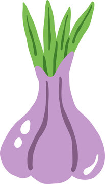 purple onion shallots vegetable food cartoon vector illustration