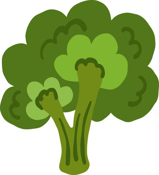 cute green broccoli vegetable food vector cartoon illustration