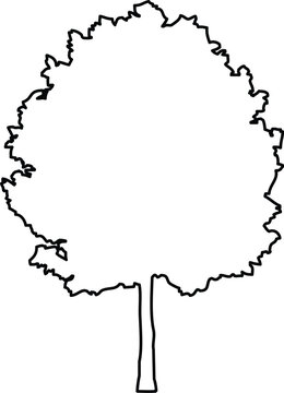 Simple black and white outline of a deciduous tree silhouette