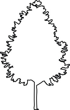 Simple black outline of a coniferous tree silhouette