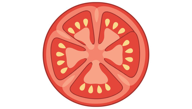 Top view of a juicy tomato slice cross-section displaying its seeds and segmented chambers is presented as a colorful flat illustration.
