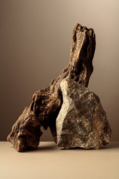 An old driftwood log and a piece of granite rock on a beige background.