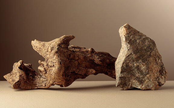 An old driftwood log and a piece of granite rock on a beige background.
