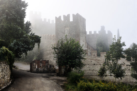 Mystical castle in foggy morning