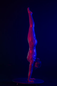 Female acrobat in a shiny bodysuit performs a dramatic handstand split on a pedestal, illuminated by vibrant blue and magenta studio lights on a dark stage.