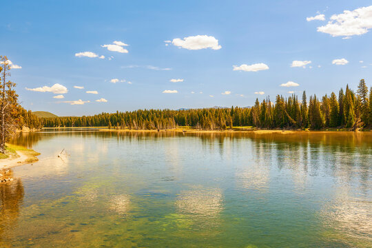 Yellowstone river in summer. Yellowstone National Park. Wyoming