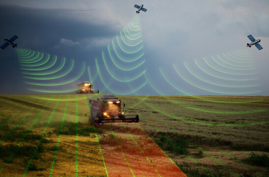 Harvester working in wheatfield at sunset.