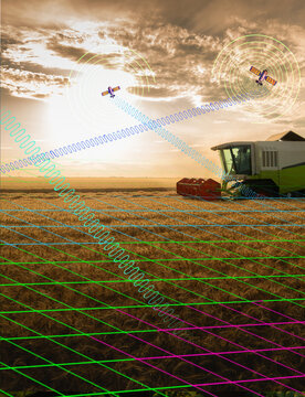 Red combine harvester working in golden wheat field during summer harvest under blue sky