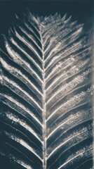 Obraz premium Abstract leaf design in monochrome, perfect for mobile wallpaper.