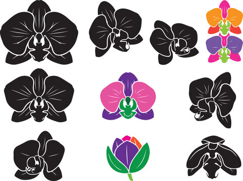 et of orchid flower icons in black and colorful styles
