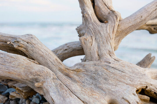 Bleached driftwood log on a pebble beach with blurred ocean background.