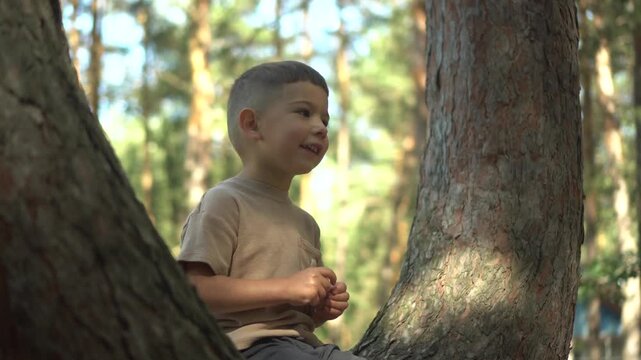 Four-Year-Old Boy Sitting on a Tree Branch Fork in Nature and Talking, Close Up