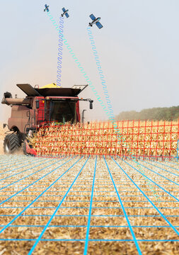 Combine transferring corn after harvest