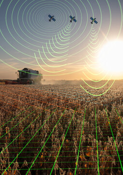 Combine harvester clearing a soybean field in sunset