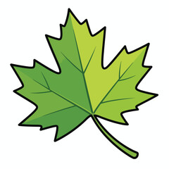 Fototapeta premium Fresh Green Maple Leaf Semi Realistic Vector Illustration Isolated on White Background