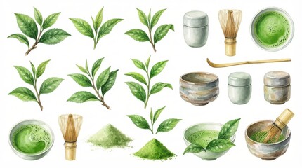 Fototapeta na wymiar Watercolor set of green tea matcha leaves, bowl, whisk, and powder
