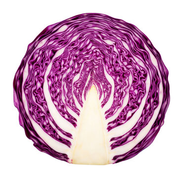 PNG Vibrant sliced purple cabbage.