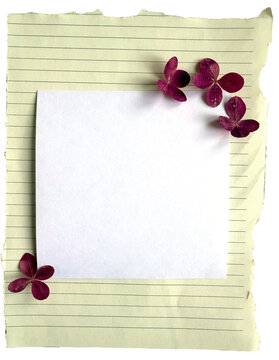 Floral Blank Paper Mockup on Torn Lined Sheet