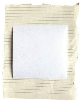 Blank Square Paper Mockup on Torn Lined Sheet
