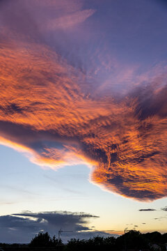 Vibrant Sunset Clouds Over Silhouetted Trees in Harrogate, UK.