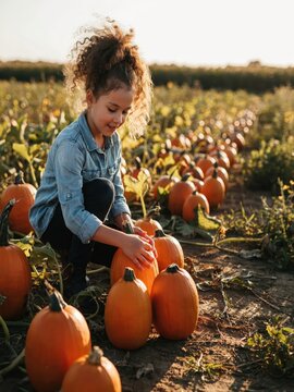 Young girl with curly hair picking orange pumpkins in sunlit autumn field.
