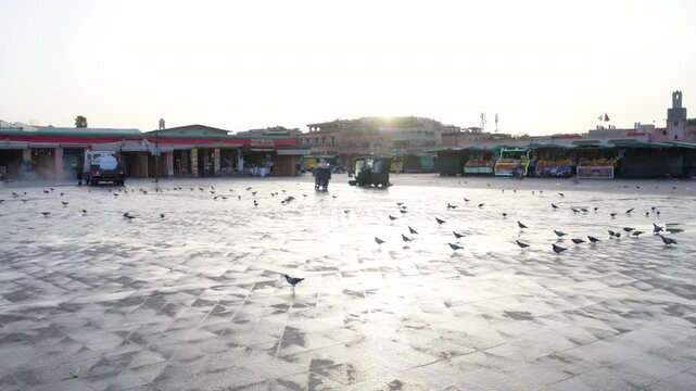 Marrakech, morocco. August 10, 2026. Stunning sunrise over the jemaa el fnaa square in marrakech, morocco, with numerous pigeons walking on the ancient wet paving stones