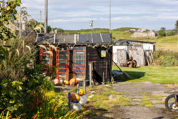 Rustic Shed with Fishing Gear and Antlers at Whaligoe Steps, Scotland, UK. © iSky Media