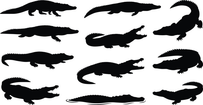 Black silhouette vector collection of crocodiles and alligators in varied poses and stances