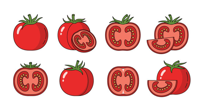 Selection of fresh red tomatoes in various cuts, including whole fruit, halves, and slices, clean flat vector illustration.