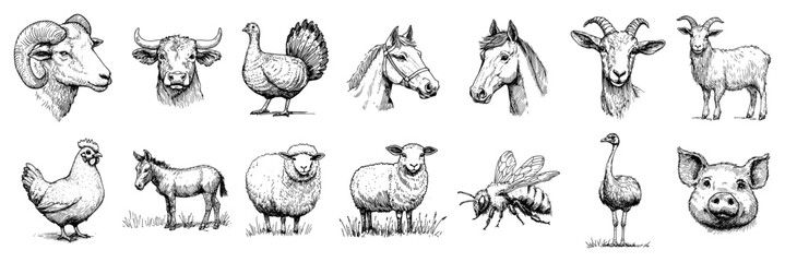 Obraz premium Farm animal portraits and livestock collection in vintage engraving style