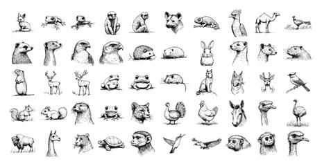 Fototapeta premium Animal mega collection with various species and birds in vintage sketch style