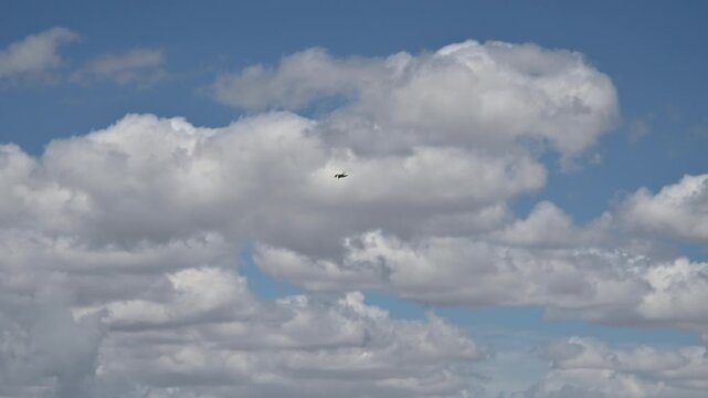 Bird flying across the sky with moving clouds