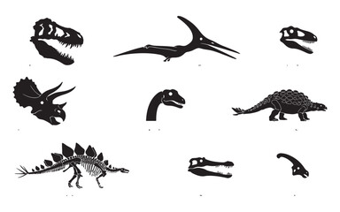 Dinosaur skeleton fossil and skull silhouettes for prehistoric science education. © MdNasir