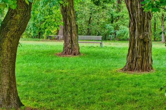Views in the city park at the end of the fading summer.