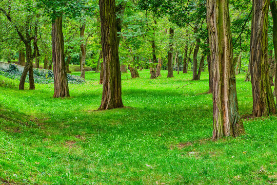 Views in the city park at the end of the fading summer.
