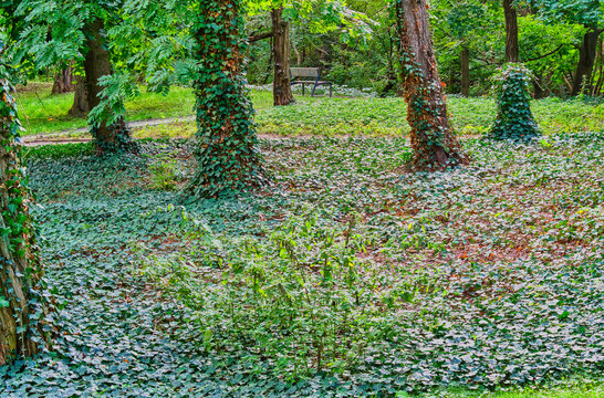 Views in the city park at the end of the fading summer.