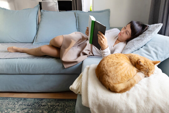 Woman read book beside sleeping ginger cat at home