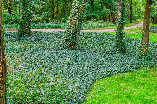Views in the city park at the end of the fading summer.