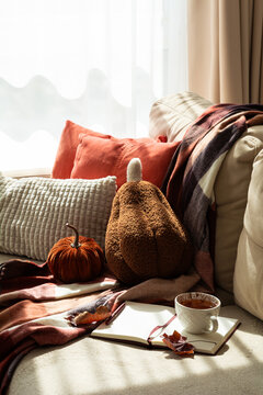 Cozy autumn scene with decorative pumpkins and warm plaid blanket on sofa near window with sunlight creating shadows