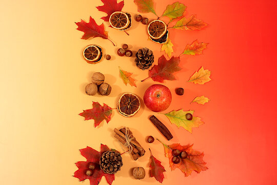 Hello Autumn greeting card.Abstract autumn composition featuring maple leaves, pine cones, nuts, cinnamon, star anise, and rowan berries, Thanksgiving themed still life, seasonal background,