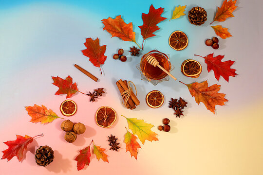 Hello Autumn greeting card.Abstract autumn composition featuring maple leaves, pine cones, nuts, cinnamon, star anise, and rowan berries, Thanksgiving themed still life, seasonal background