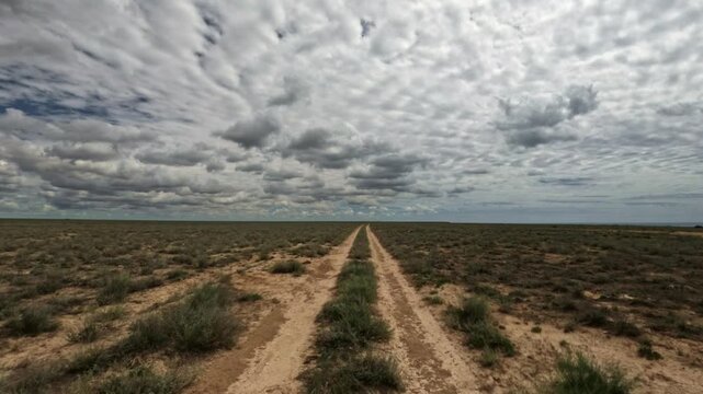 Camera Moving Forward on a Dirt Road in Arid Landscape